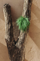 Zaza brooch in grass green feathers