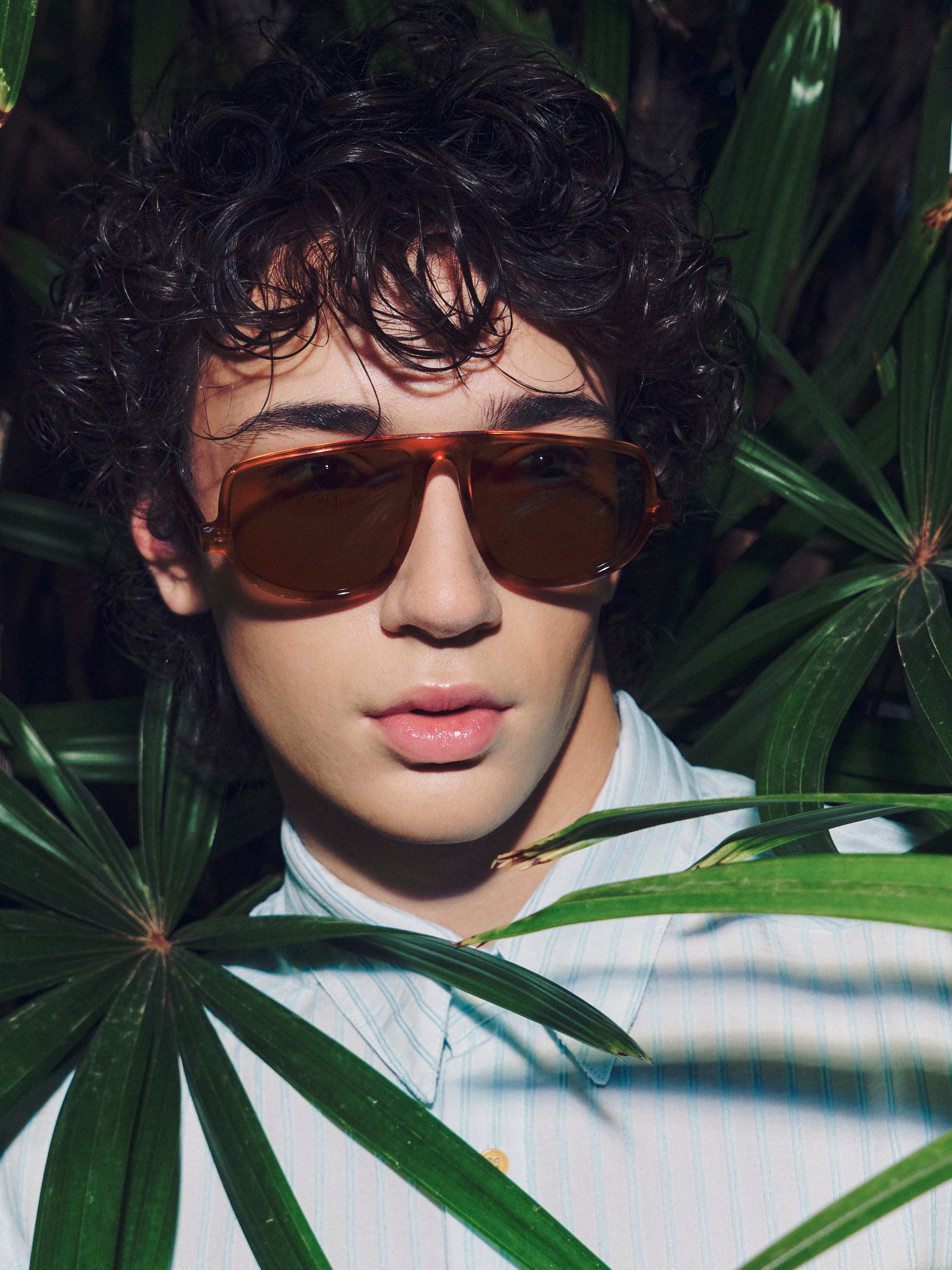 Felice Sonnenbrille in Hellschildpatt/Oliv