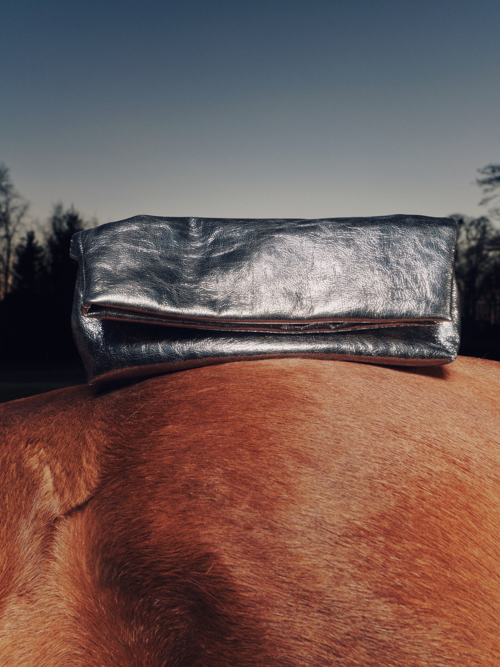 Gennaro handtas in metallic