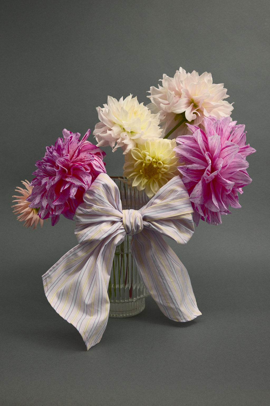 Olive bow in lilac blue vintage cotton stripes