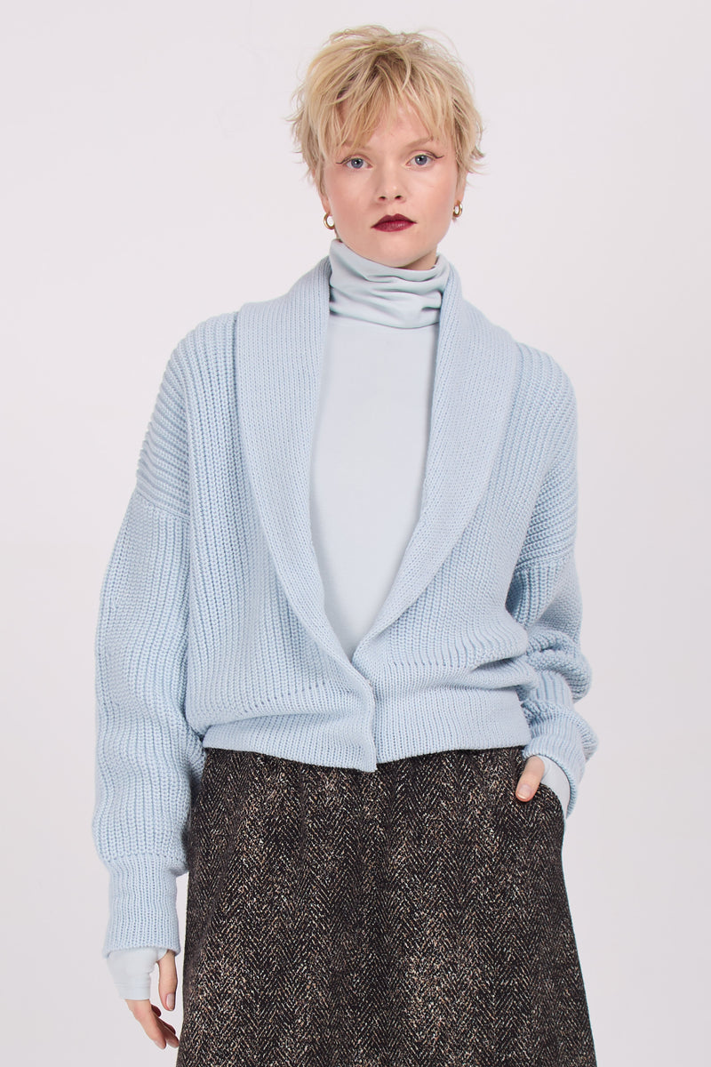 Wilsum sky blue knitted vest