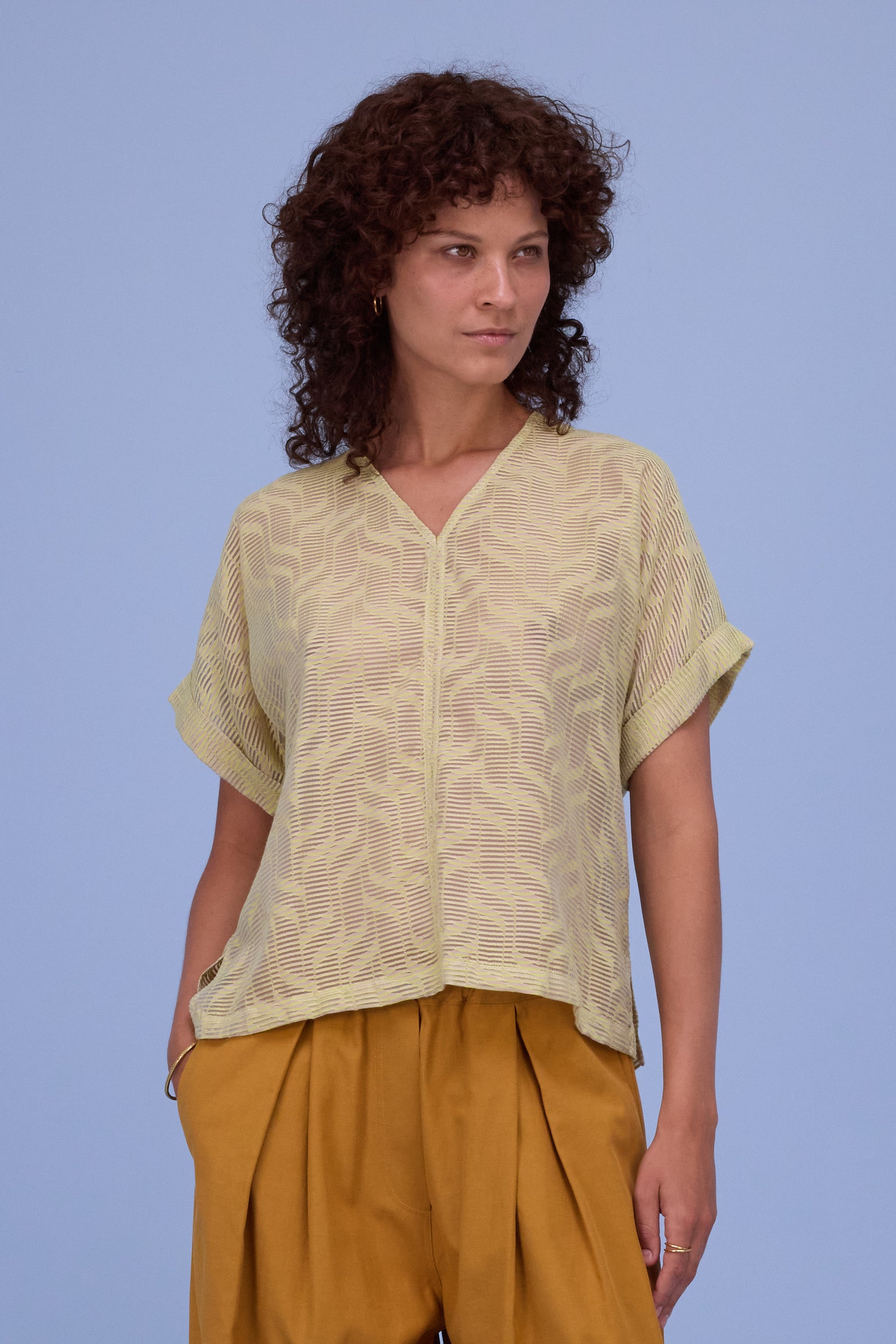 Faro blouse in transparent lime stripes