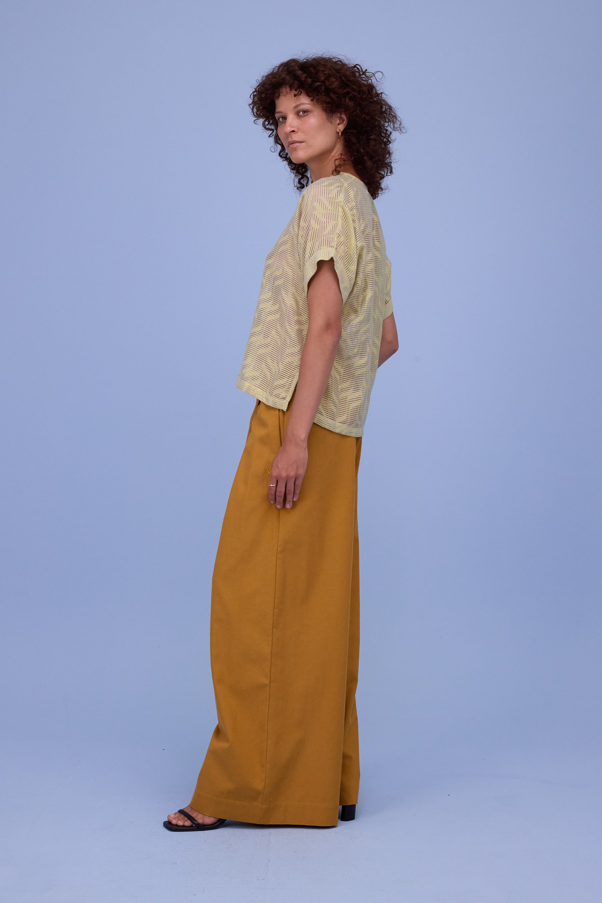 Faro blouse in transparent lime stripes