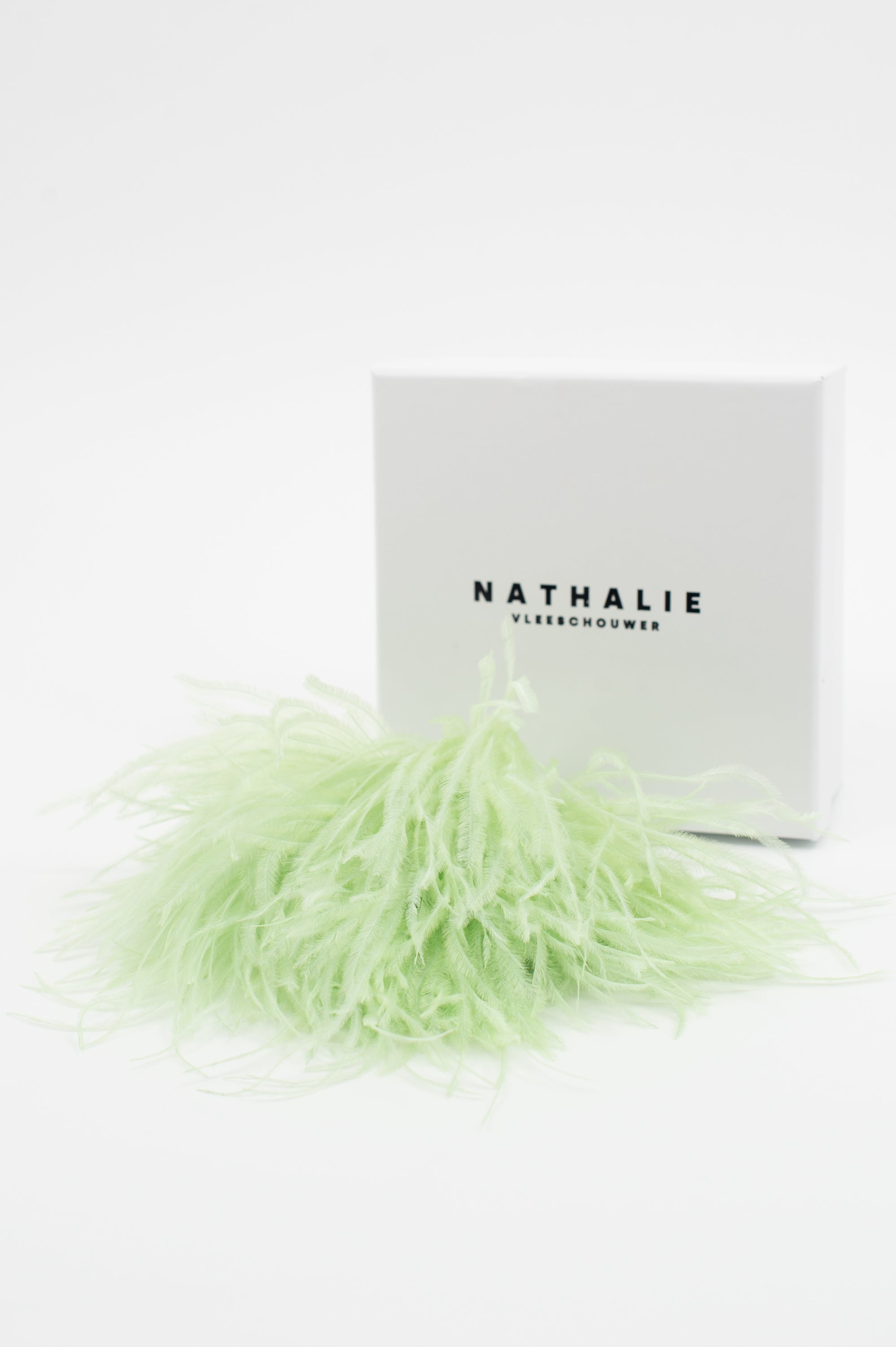 Zaza Brosche mit Federn in Münze