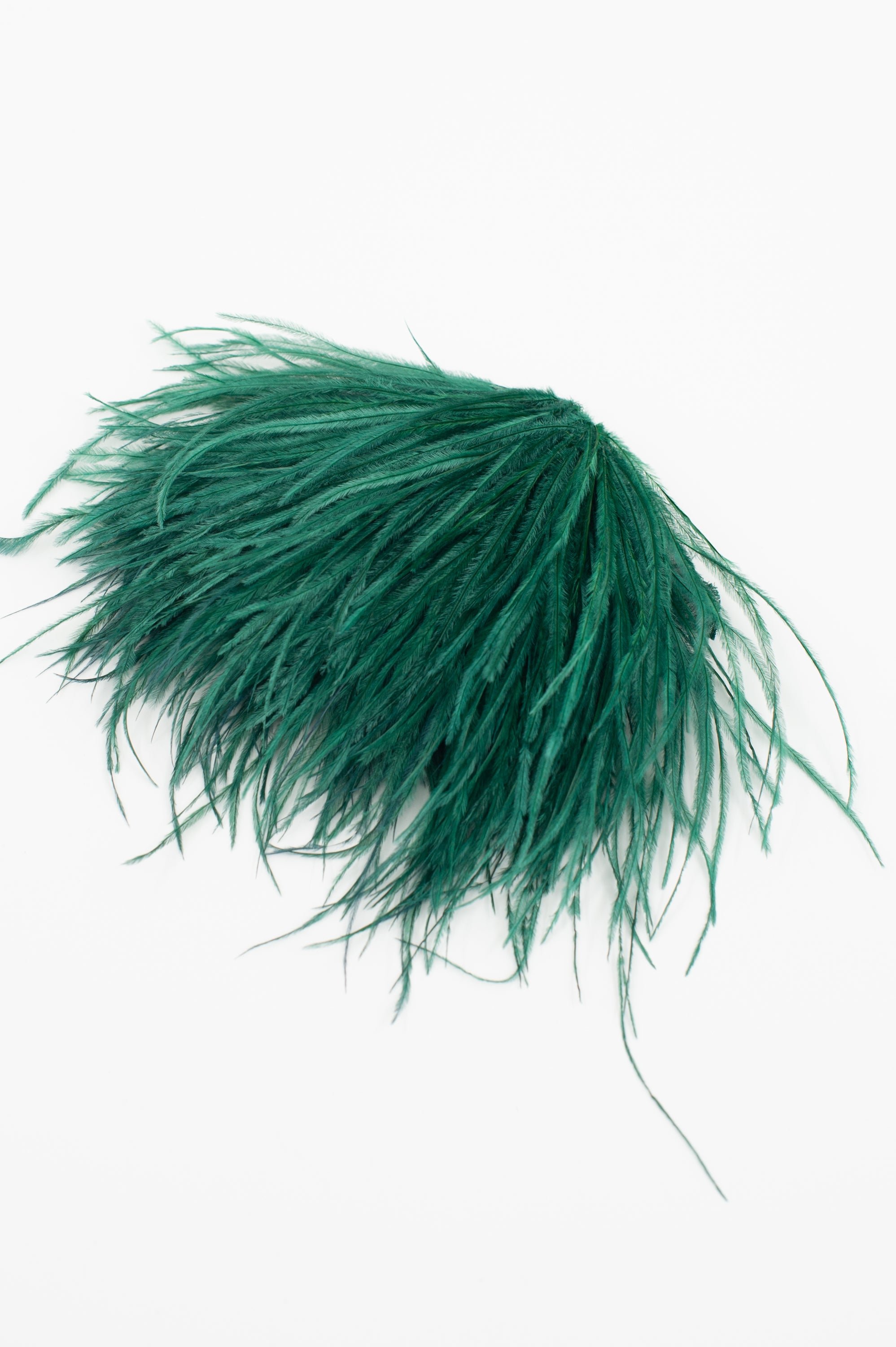 Zaza Brosche mit Federn in Tannengrün