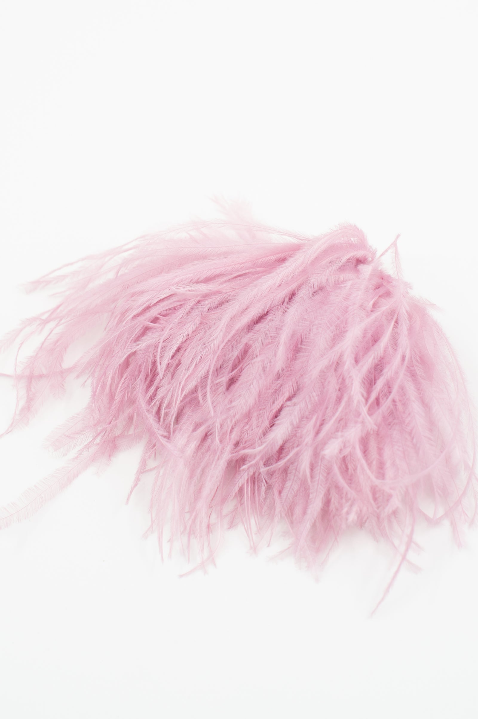 Zaza Brosche mit Federn in Flieder