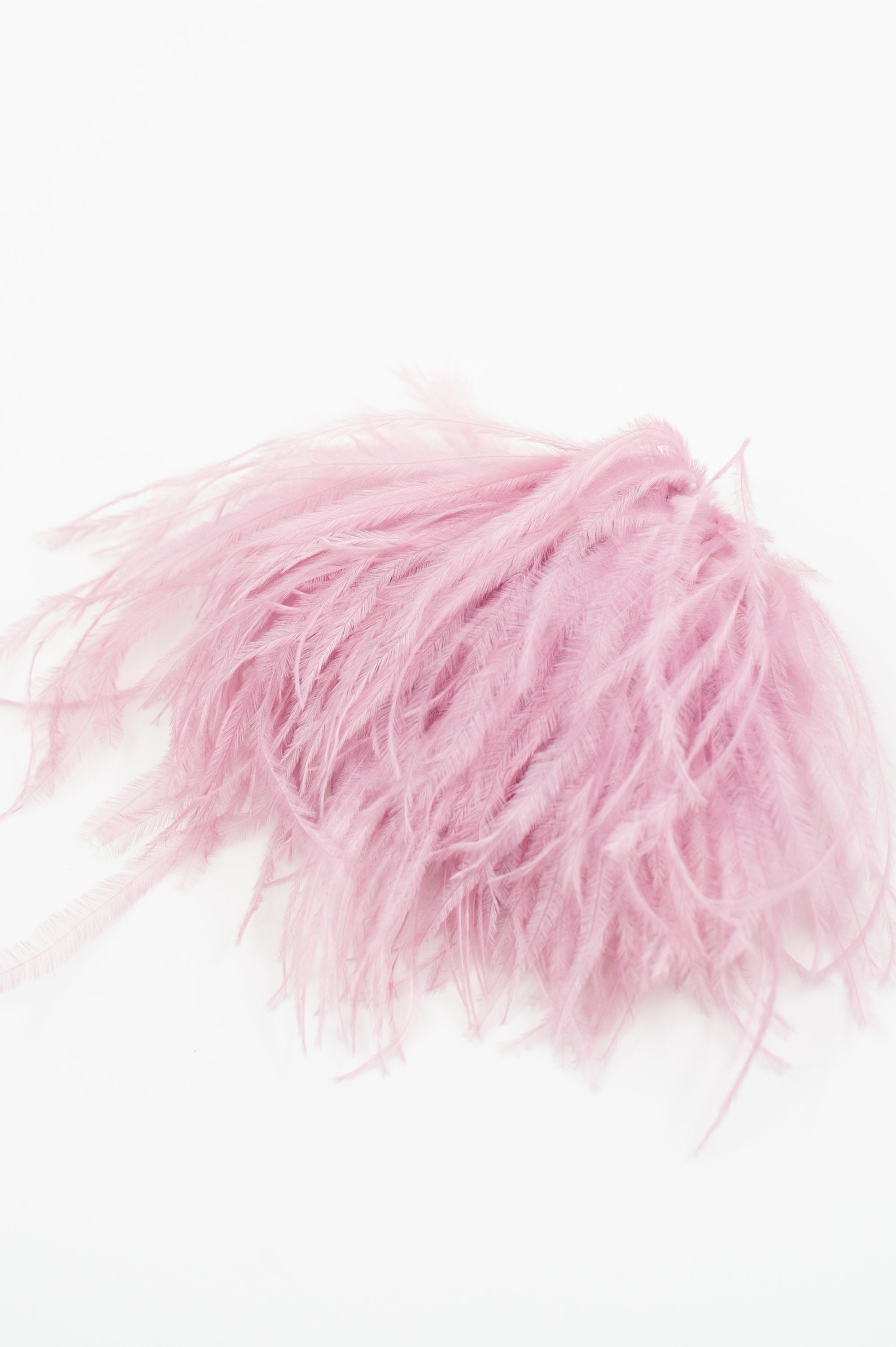 Zaza Brosche mit Federn in Flieder