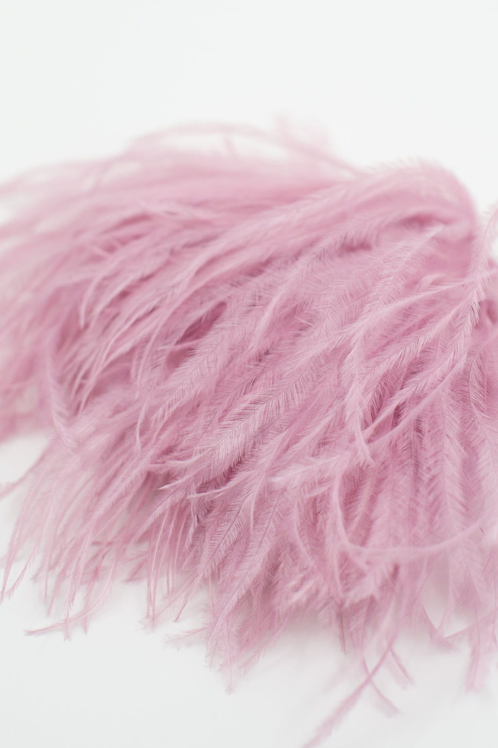 Zaza feathers brooche in lilac