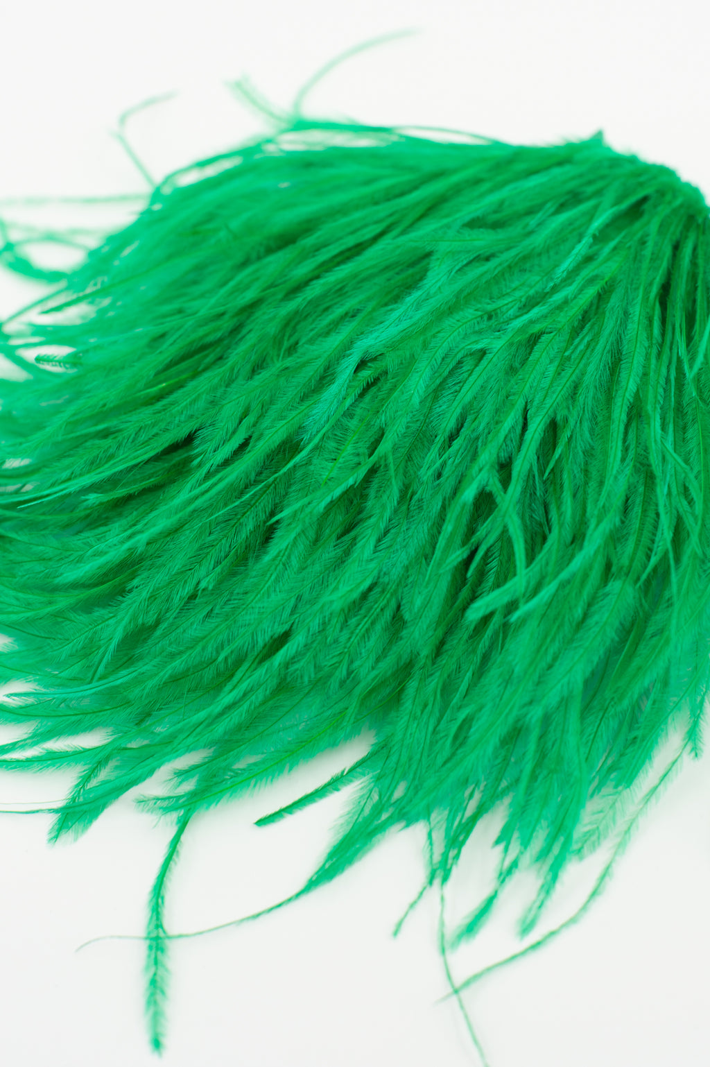 Zaza brooch in grass green feathers