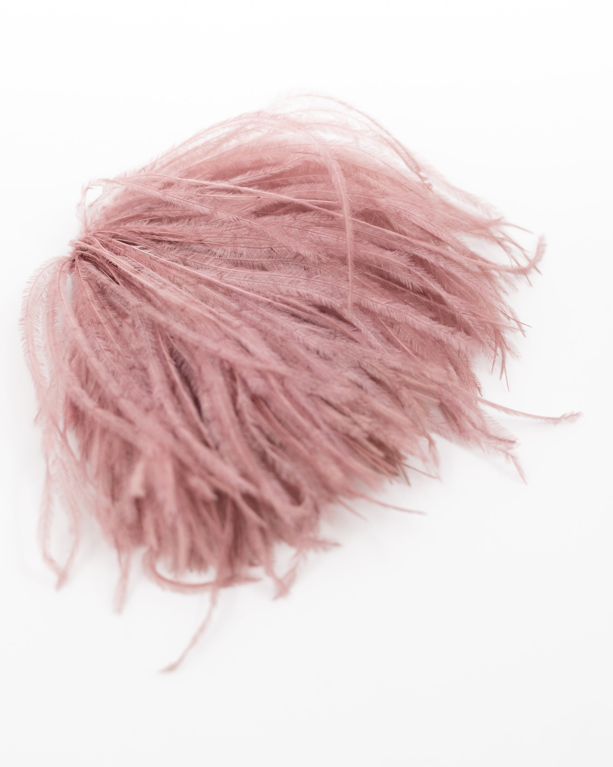 Zaza Brosche mit Federn in alter Rose