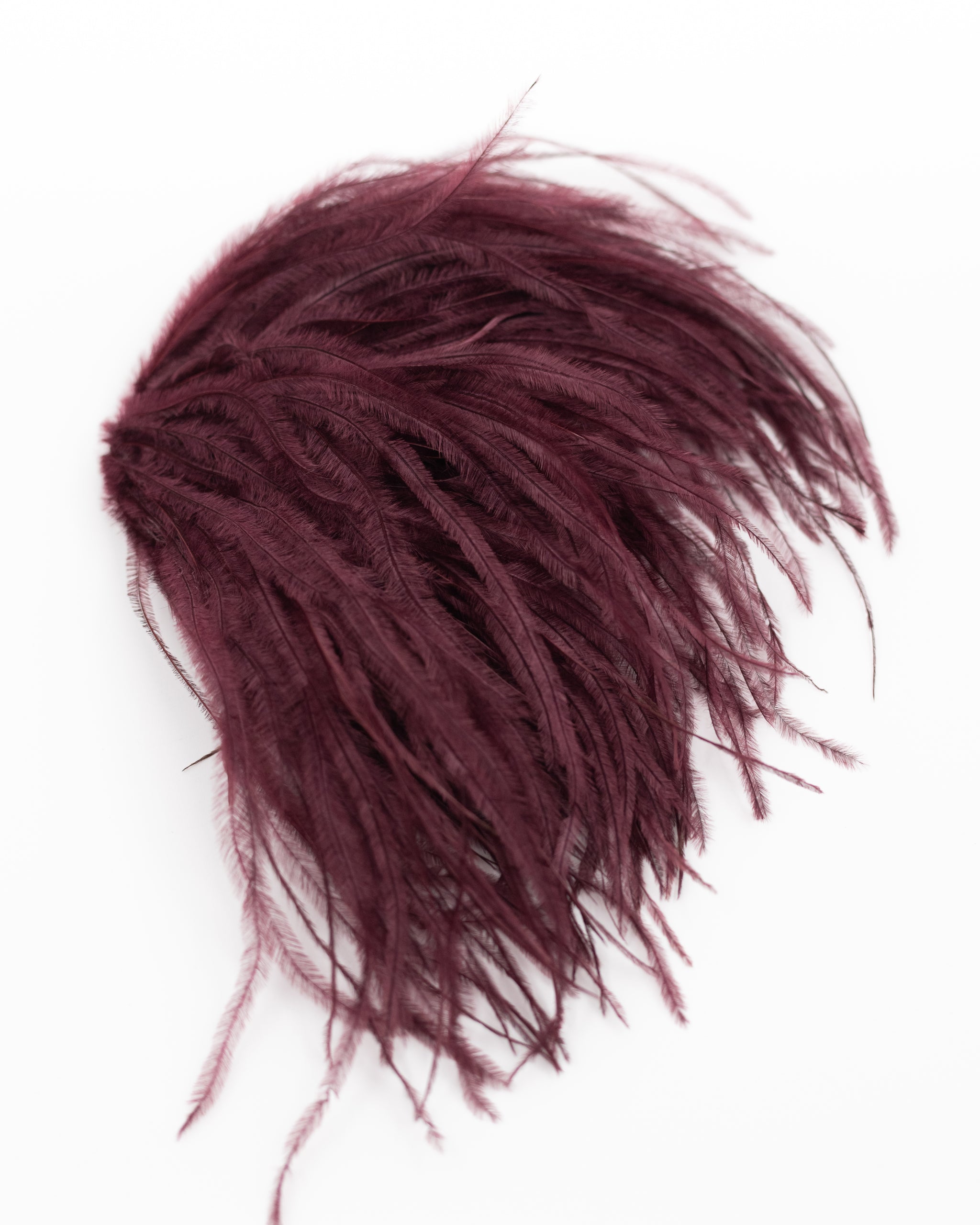 Zaza Brosche mit Federn in Merlot