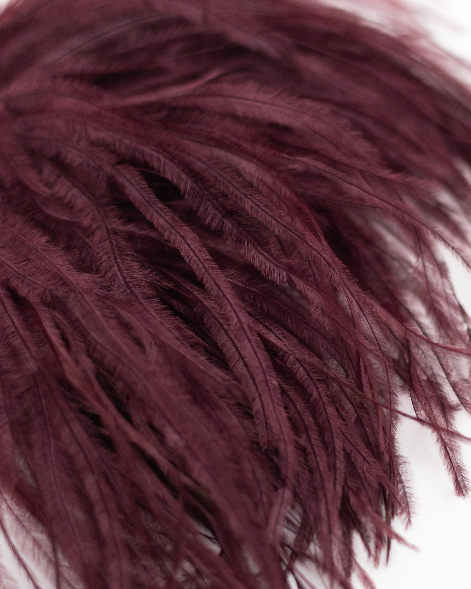Zaza Brosche mit Federn in Merlot