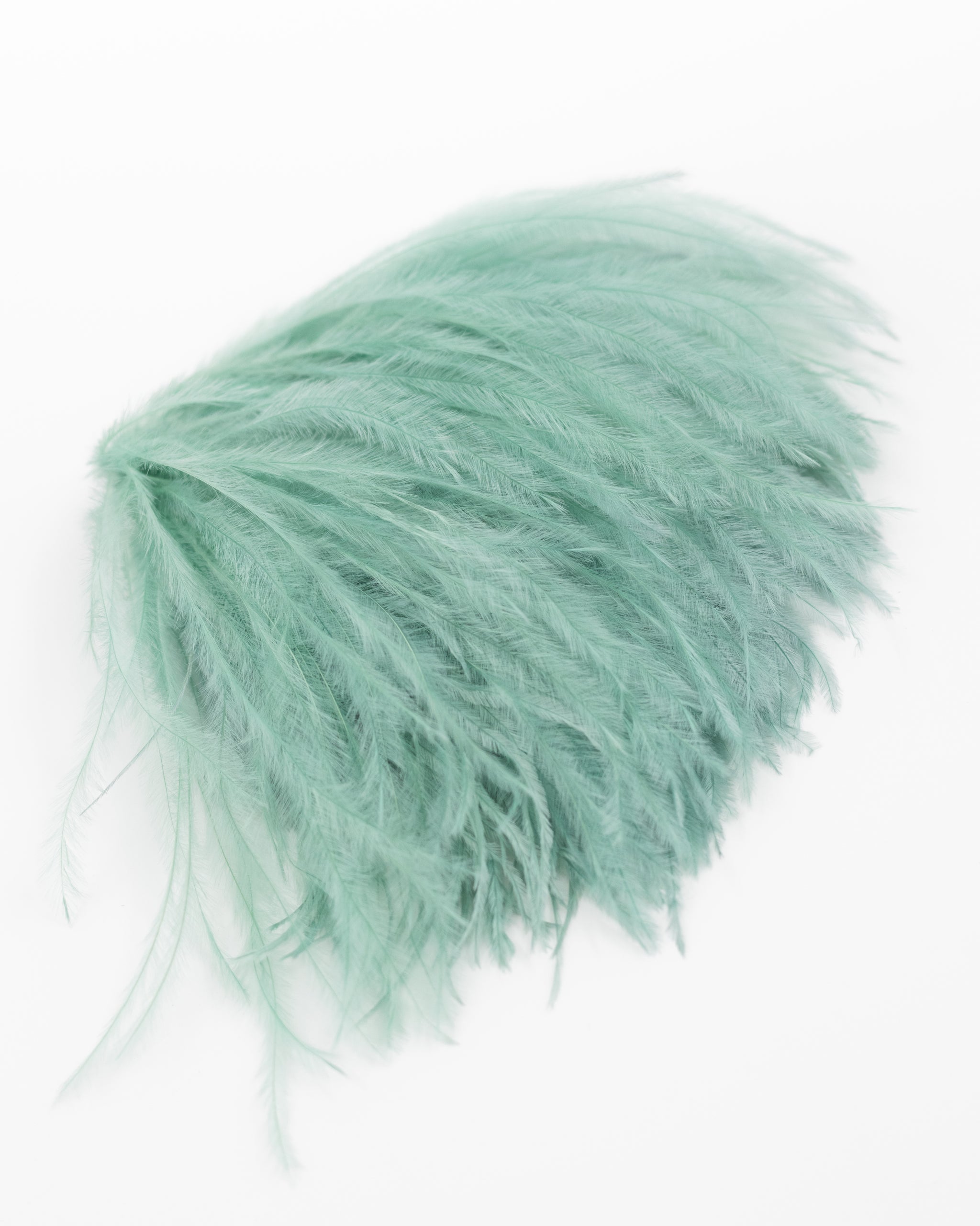 Zaza feathers brooch in aqua
