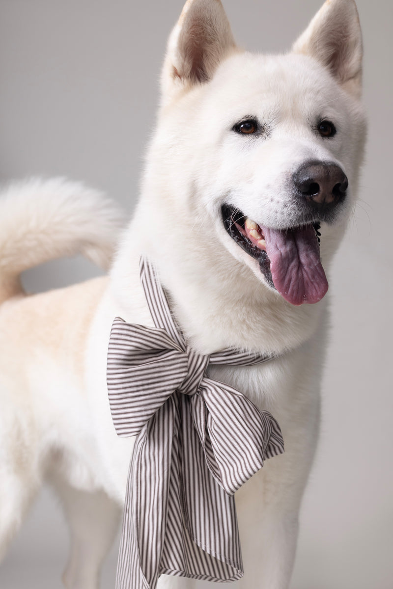 Olive bow in brown ecru vintage cotton stripes