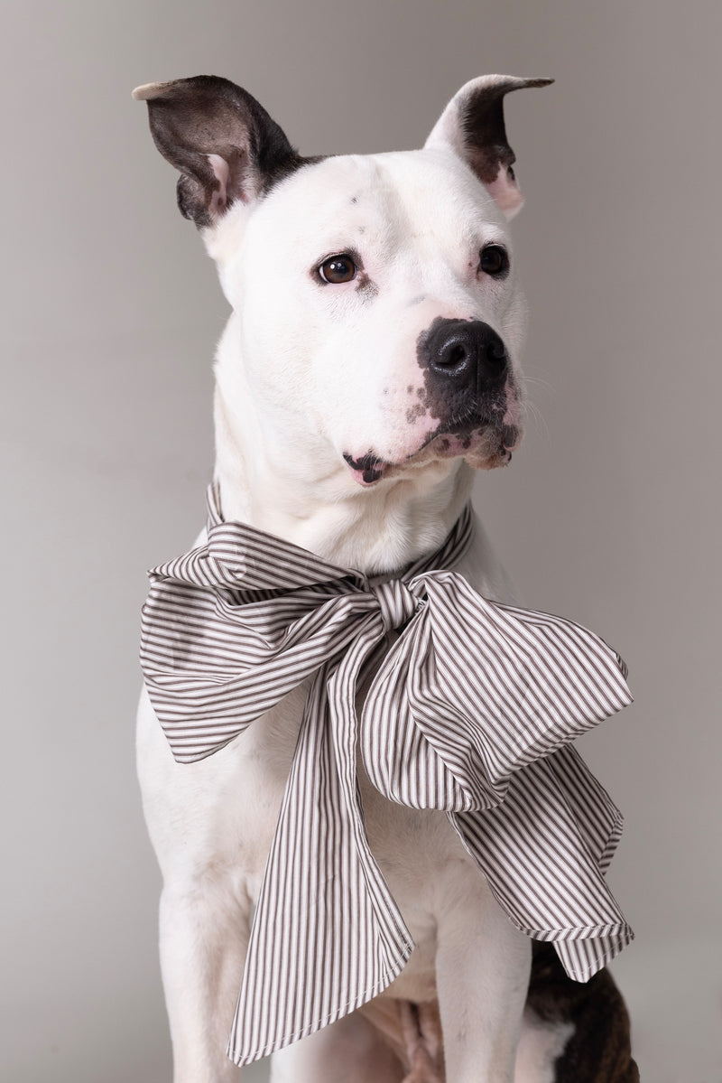 Olive bow in brown ecru vintage cotton stripes