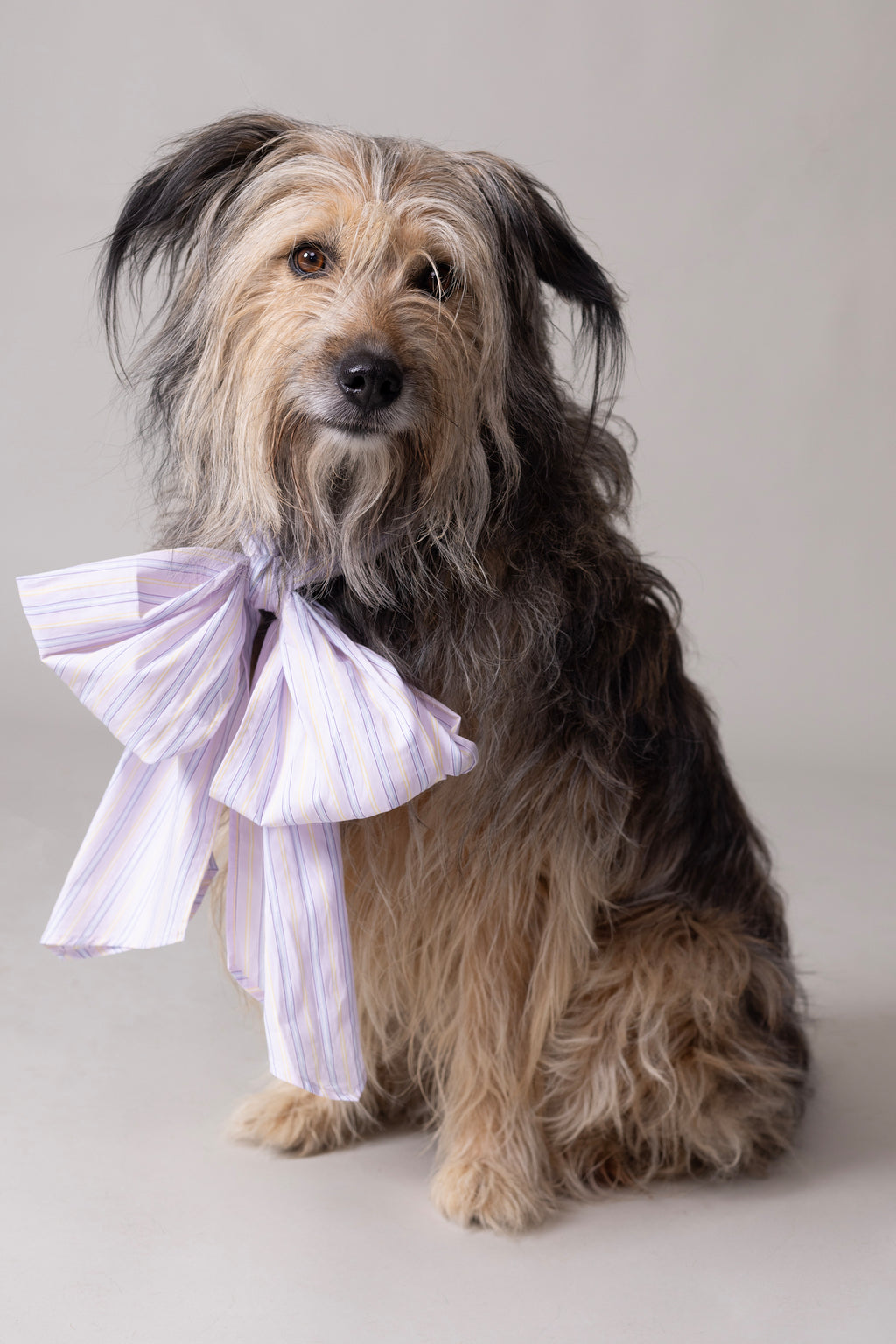 Olive bow in lilac blue vintage cotton stripes