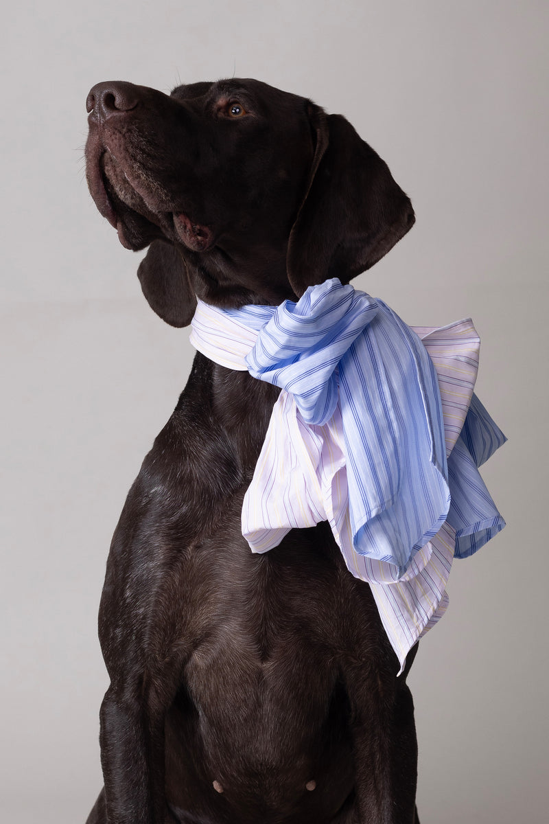 Olive bow in blue vintage cotton stripes