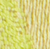 Lime Glow