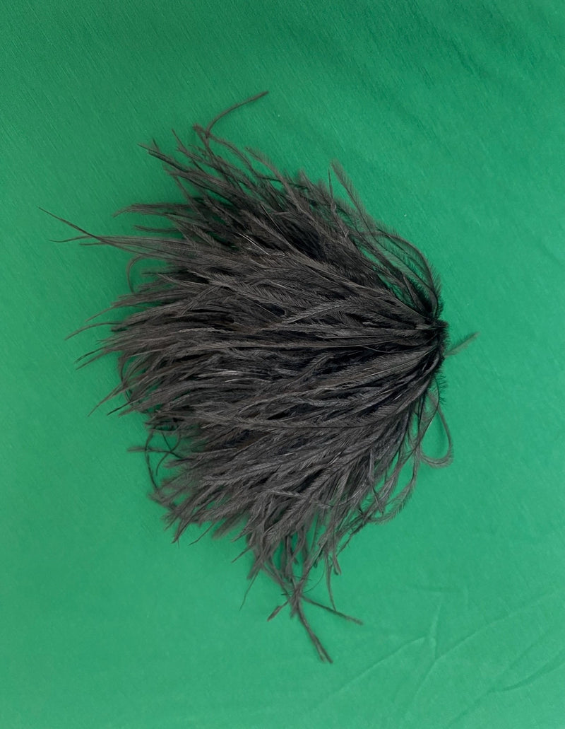 Zaza feathers brooche in black